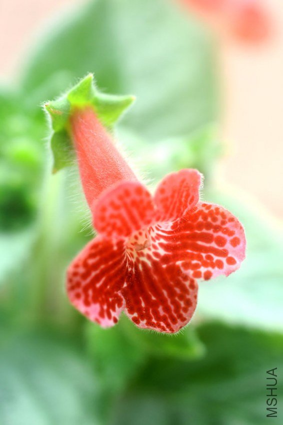 ���� DSC_0018.JPG