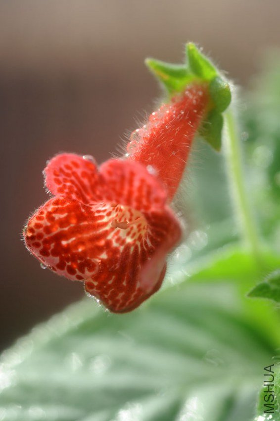 ���� DSC_0010.JPG