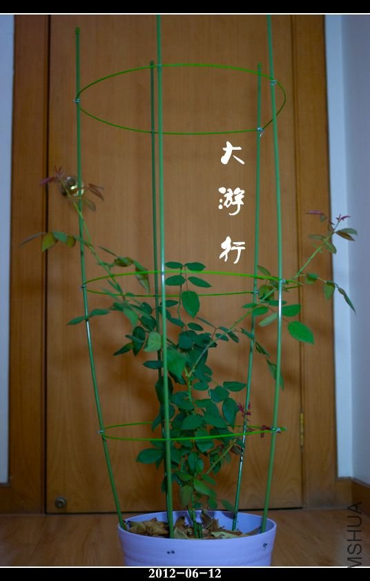 IMGP5344.jpg