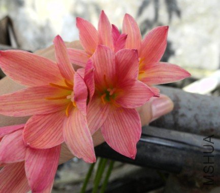 QQ��ͼ20120612215455.jpg