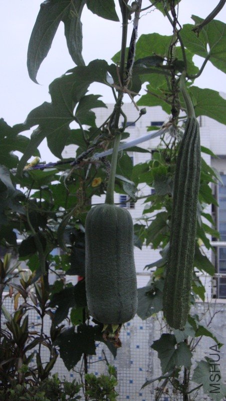 DSC01704.jpg