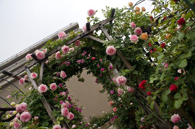 DSC_0093b.jpg