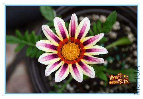 ��Ƭ 130_����.jpg