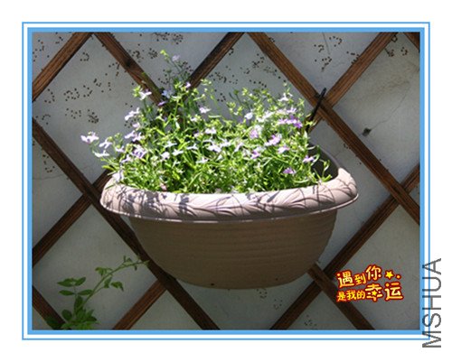 ��Ƭ 006_������.jpg