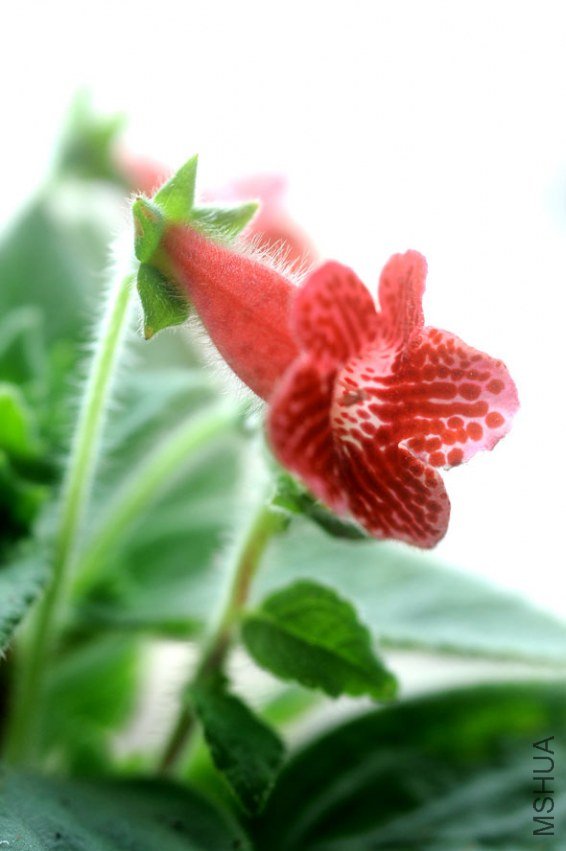 ���� DSC_0016.JPG