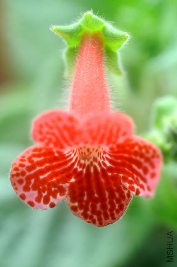 ���� DSC_0014.JPG