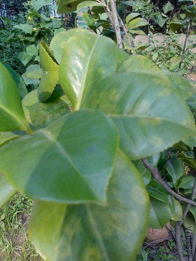 IMG0613161500.jpg