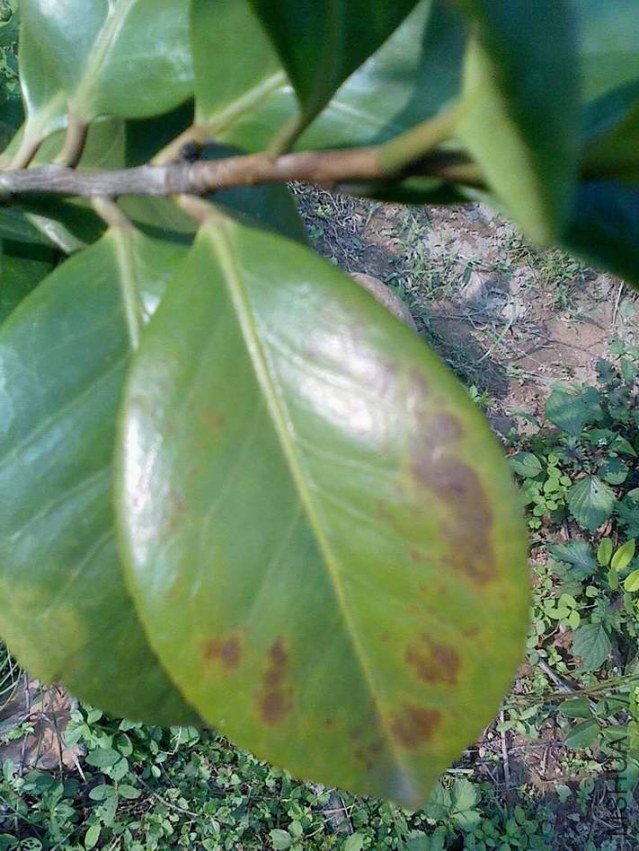 IMG0613161600.jpg
