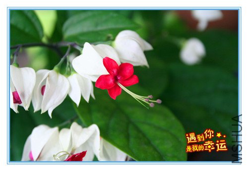 ��Ƭ 078_����4.jpg