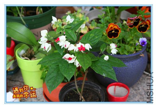 ��Ƭ 071_������1.jpg