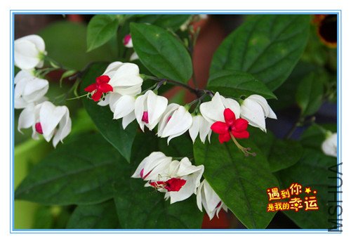 ��Ƭ 072_����2.jpg