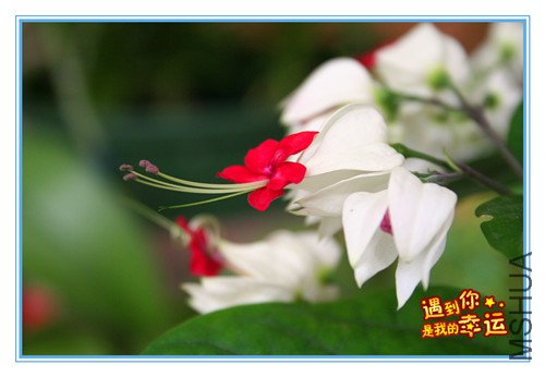 ��Ƭ 073_����3.jpg