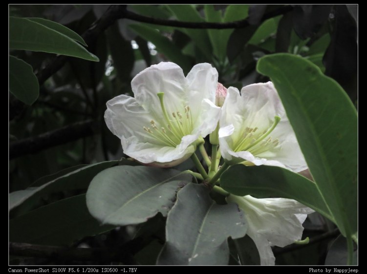 005 ��׶ž�.jpg