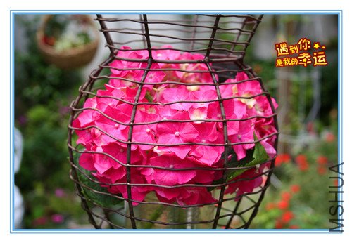 ��Ƭ 040_�����ݰ�3.jpg