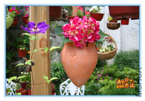 ��Ƭ 041_���ݰ�2.jpg