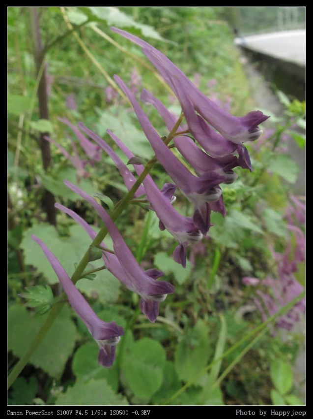 007 ĳ����.jpg