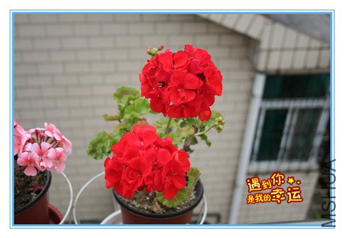 ��Ƭ 160_������1.jpg