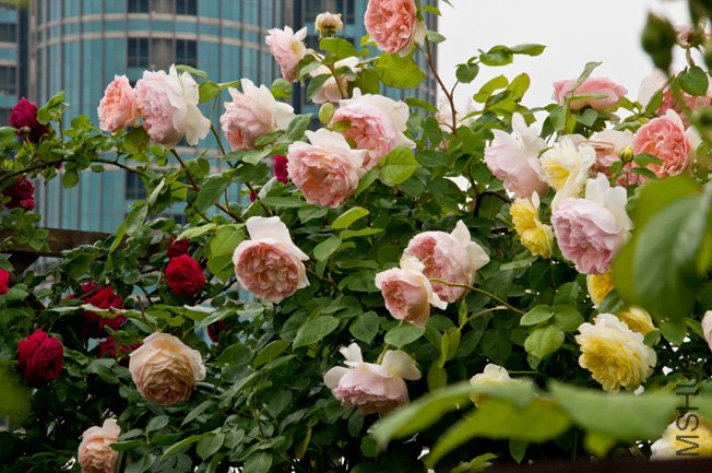 DSC_0045b.jpg