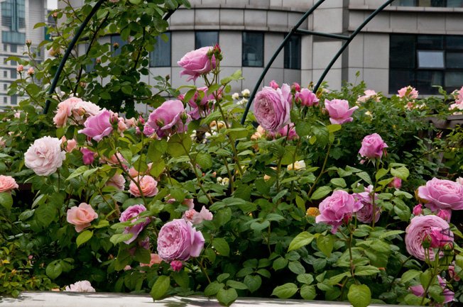 DSC_0028b.jpg