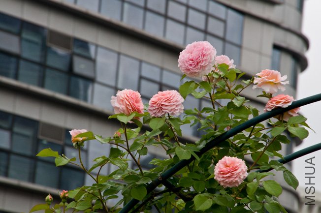 DSC_0033b.jpg