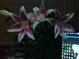 IMG_20120613_211853.jpg