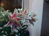 IMG_20120613_212326.jpg