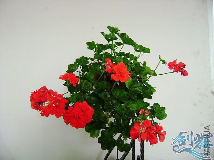 nEO_IMG_DSC01267.jpg