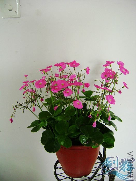 nEO_IMG_DSC01270.jpg