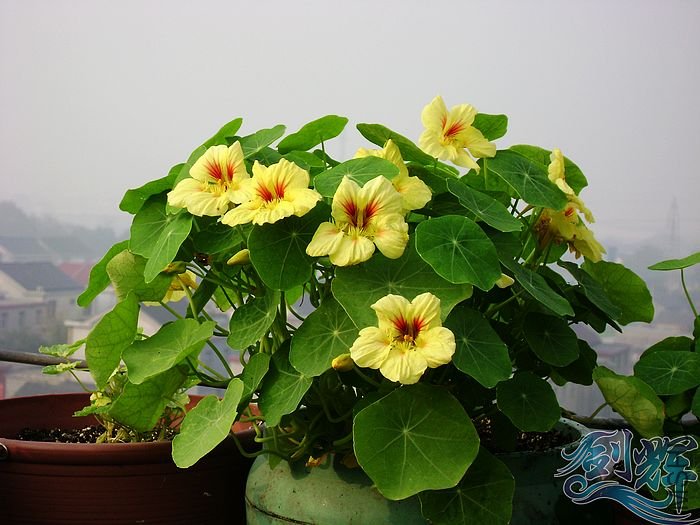nEO_IMG_DSC01307.jpg