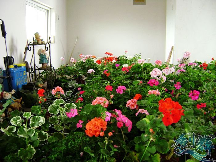 nEO_IMG_DSC01324.jpg
