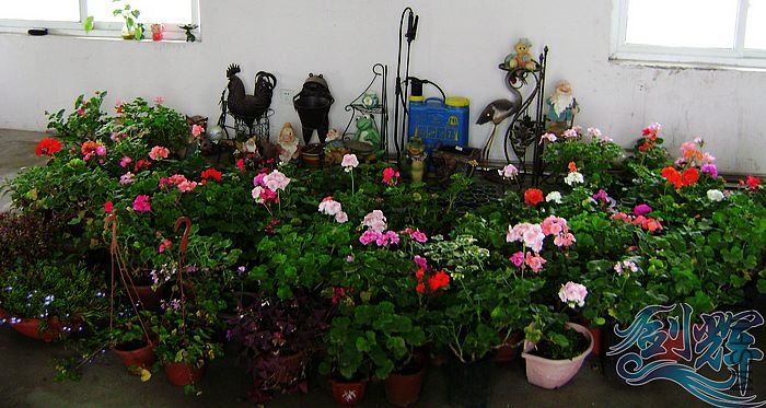 nEO_IMG_DSC01325.jpg