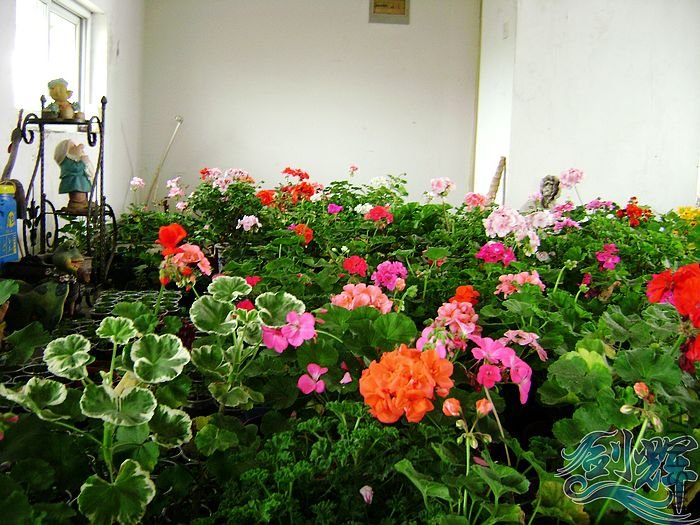 nEO_IMG_DSC01326.jpg
