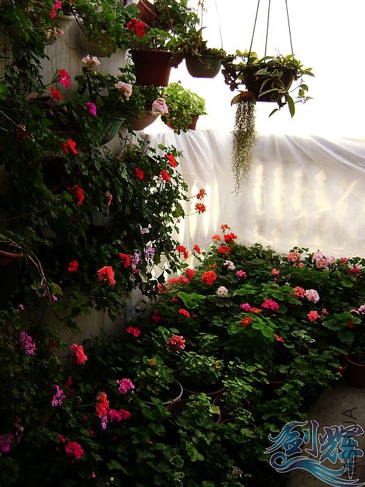 nEO_IMG_DSC01340.jpg