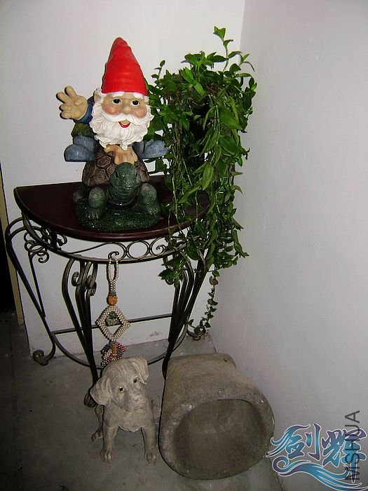 nEO_IMG_DSC01343.jpg