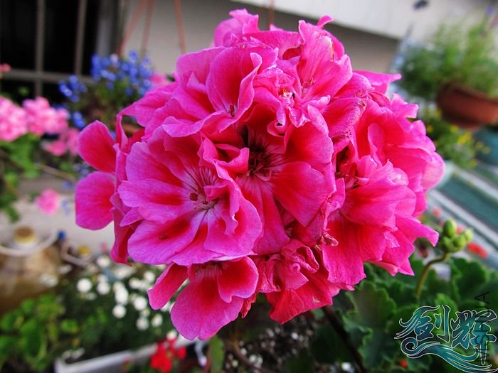 nEO_IMG_IMG_0876.jpg