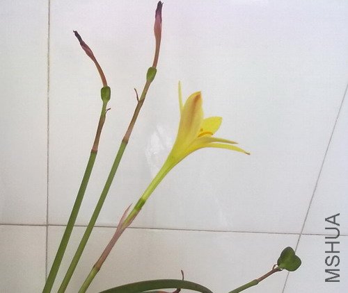 201205281369.jpg