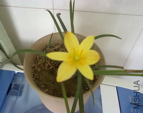 201205281368.jpg