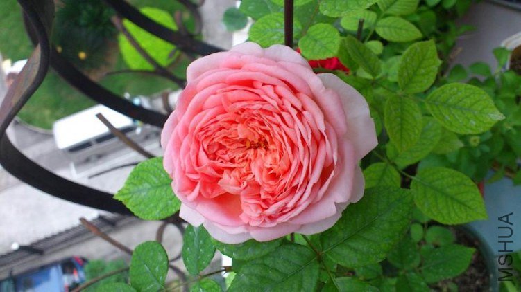 DSC_1072.jpg