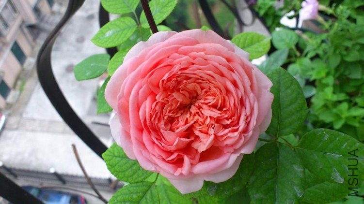 DSC_1073.jpg