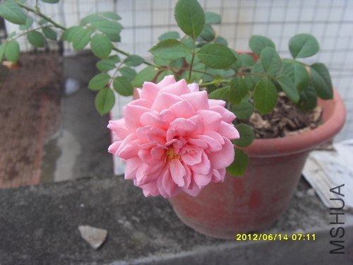 SDC10161_����.jpg