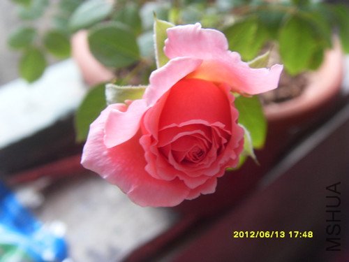 SDC10148_����.jpg