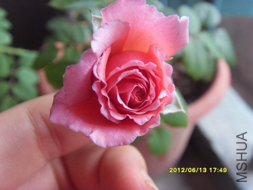 SDC10149_����.jpg