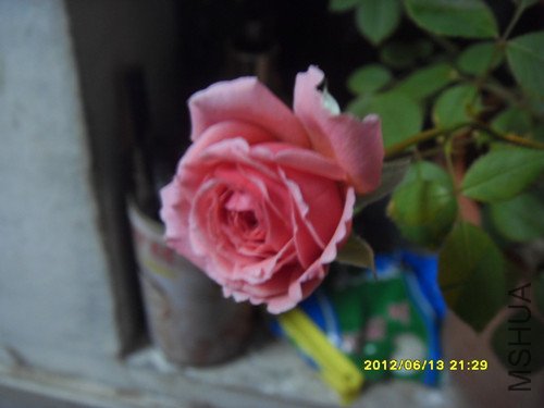SDC10151_����.jpg
