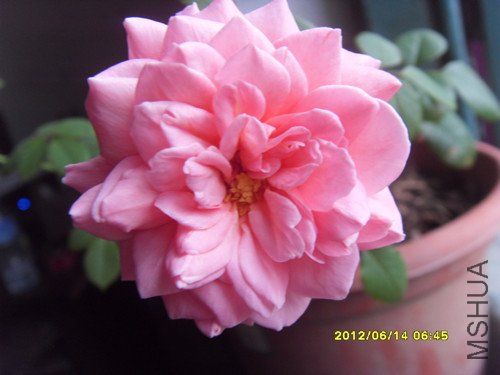 SDC10159_����.jpg