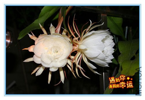 ��Ƭ 013_����_����.jpg