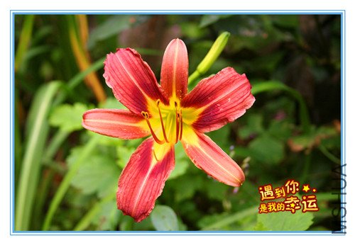 ��Ƭ 044_������.jpg