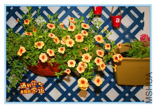 ��Ƭ 038_������.jpg