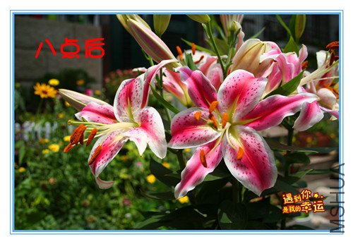 ��Ƭ 004_�����˵��.jpg