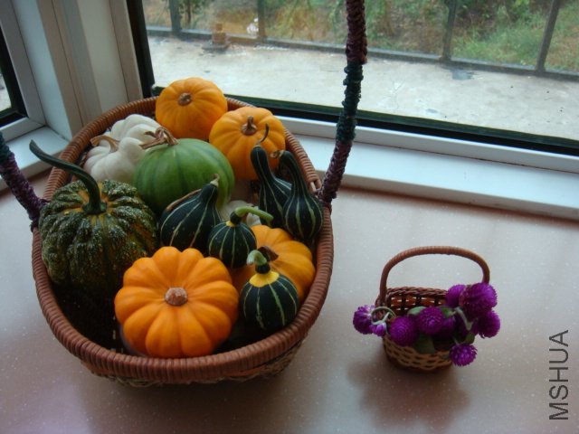 ÿ�������������ǿ��