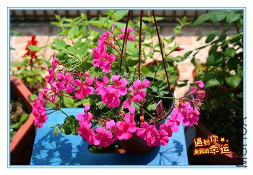 ��Ƭ 063_��������1.jpg